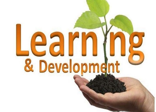 courses